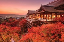Ngôi đền Yamadera ngập chìm trong sắc đỏ lá phong Nhật Bản