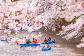 Du lịch Nhật Bản mùa xuân