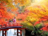 du lịch Nhật Bản vào mùa thu