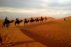 Hóa thân thành dân du mục cưỡi lạc đà trên sa mạc