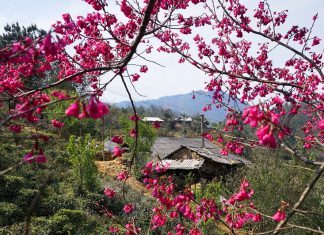 Tất tần tật kinh nghiệm du lịch Sapa tự túc cho người đi lần đầu