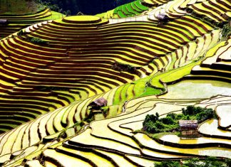Top 5 điểm đến du lịch Yên Bái ngắm ruộng bậc thang tuyệt đẹp