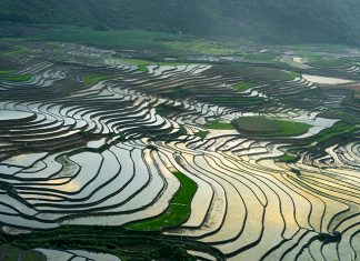 Hình ảnh tuyệt đẹp ruộng bậc thang Yên Bái mùa cấy lúa