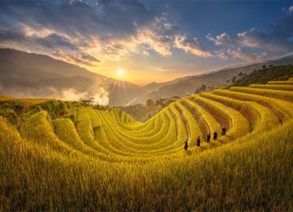 Những địa điểm du lịch Yên Bái đẹp nhất để ngắm ruộng bậc thang