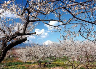 Tổng hợp kinh nghiệm du lịch Sapa ở đâu, chơi gì?