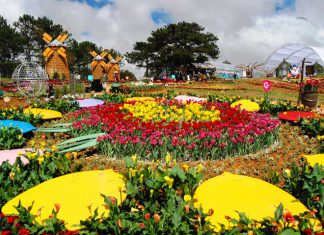 Hành trình khám phá du lịch Đà Lạt cùng hội bạn thân trước năm 30 tuổi Festival hoa Đà Lạt
