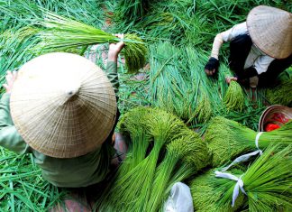 Nghỉ lễ 2/9 nên mua sắm gì và đi chơi những đâu ở Hà Nội?