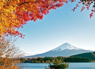 Những điều cần lưu ý khi du lịch Nhật Bản vào mùa Thu