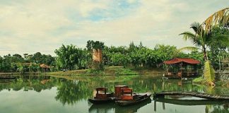 Bò Cạp Vàng: Địa điểm du lịch thu hút du khách tại Đồng Nai
