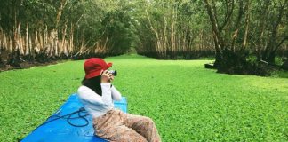 Kinh nghiệm du lịch rừng tràm Trà Sư ở An Giang hấp dẫn du khách