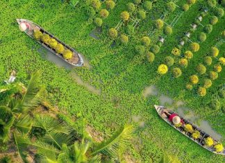 Review kinh nghiệm đi tour du lịch Đồng Tháp 1 ngày từ A - Z